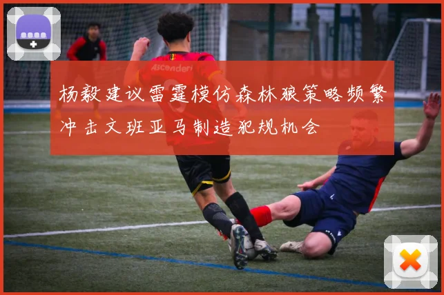 杨毅建议雷霆模仿森林狼策略频繁冲击文班亚马制造犯规机会